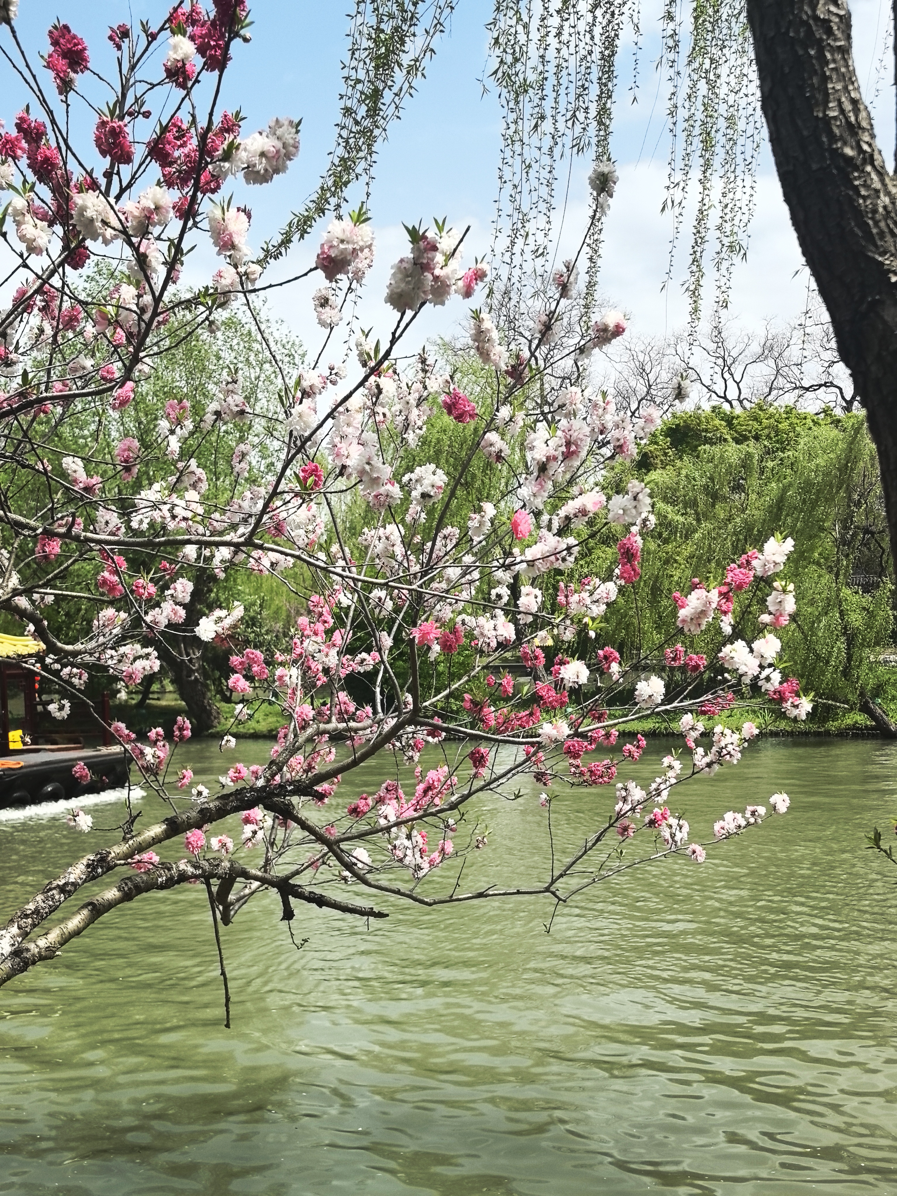 个人照片